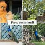 Exclusive In An 1800s Frescoed With Historic Park - Mastrangelo Colli del Tronto