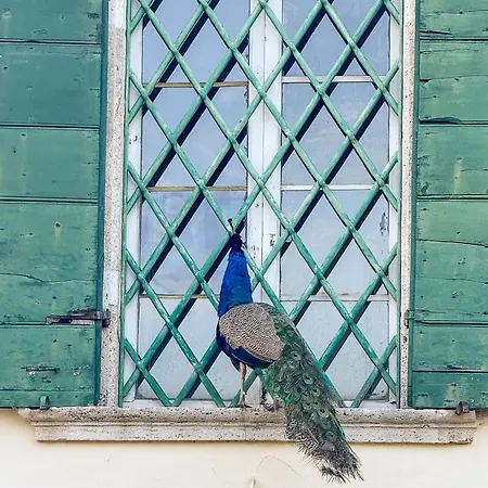 Exclusive In An 1800s Frescoed With Historic Park - Mastrangelo Ferienhaus *