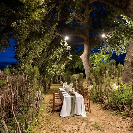 Exclusive In An 1800s Frescoed With Historic Park - Mastrangelo * Colli del Tronto