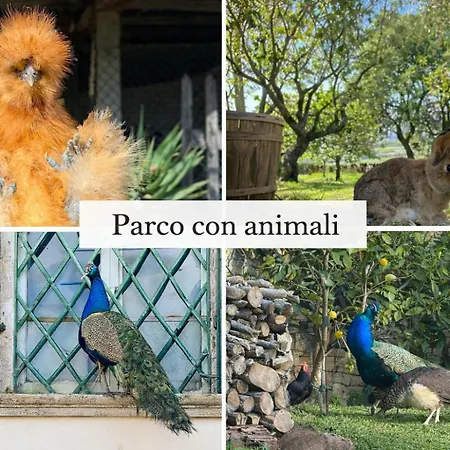 Exclusive Apartment-1844s Frescoes- Centuries Old Park- Peacocks- Mastrangelo 库里德尔特伦托